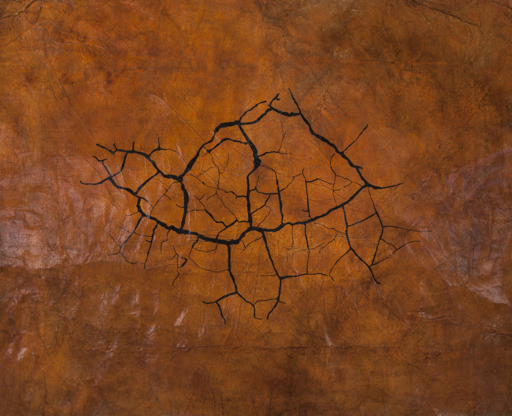 acrylic, mica, laminated tissue, digital print, 18 x 22 inches (2016) acrylic, mica, laminated tissue, digital print, 18 x 22 inches (2016)