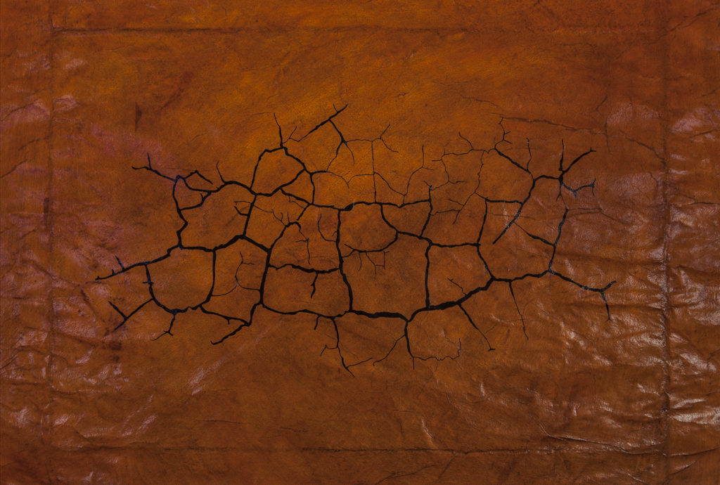 acrylic, mica, laminated tissue, digital print, 15 x 22 inches (2016) acrylic, mica, laminated tissue, digital print, 15 x 22 inches (2016)