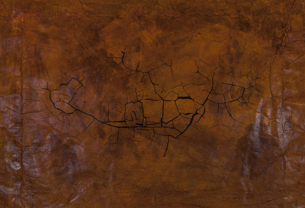 acrylic, mica, laminated tissue, digital print, 15 x 22 inches (2016) acrylic, mica, laminated tissue, digital print, 15 x 22 inches (2016)