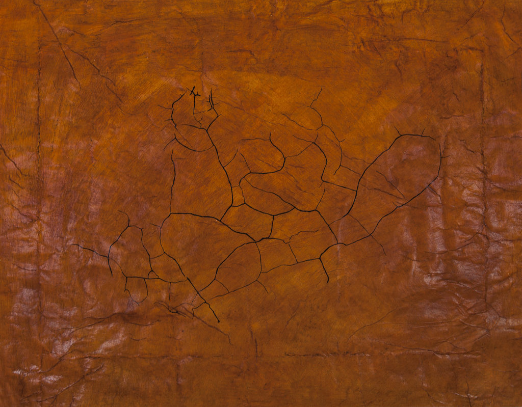 acrylic, mica, laminated tissue, digital print, 15 x 22 inches (2016) acrylic, mica, laminated tissue, digital print, 15 x 22 inches (2016)