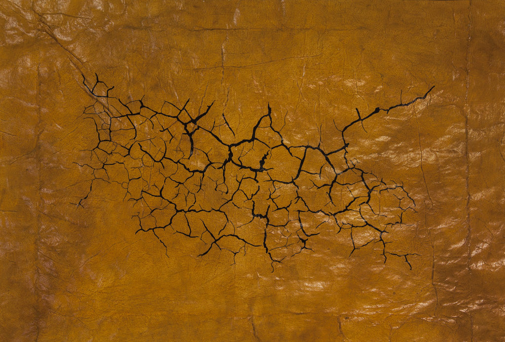 acrylic, mica, laminated tissue, digital print, 15 x 22 inches (2016) acrylic, mica, laminated tissue, digital print, 15 x 22 inches (2016)