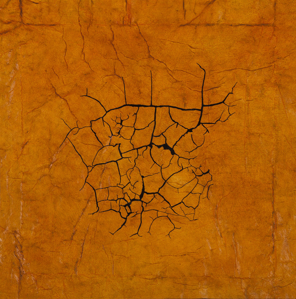 acrylic, mica, laminated tissue, digital print, 15 x 15 inches (2016) acrylic, mica, laminated tissue, digital print, 15 x 15 inches (2016)