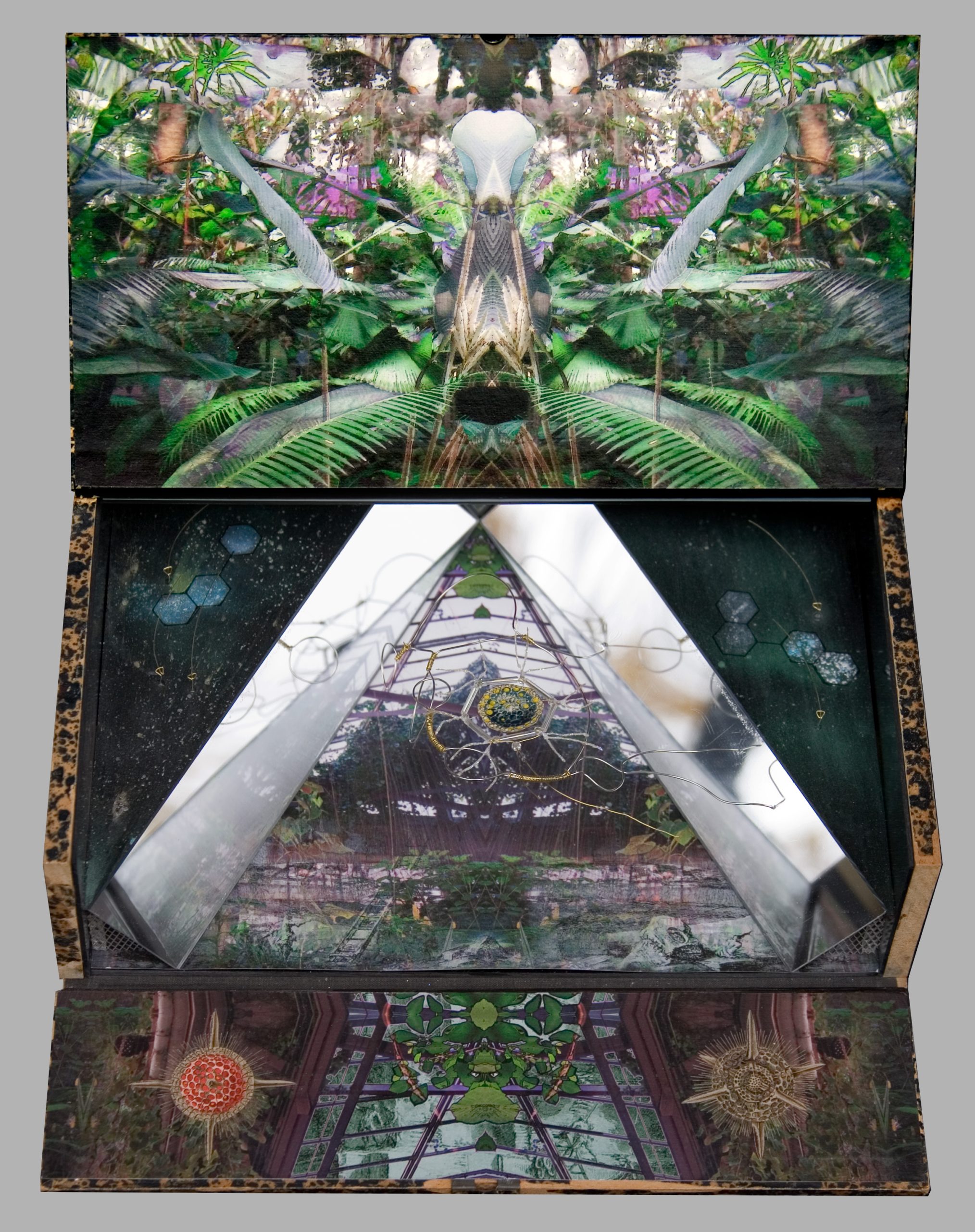 Jim Frazer book artist