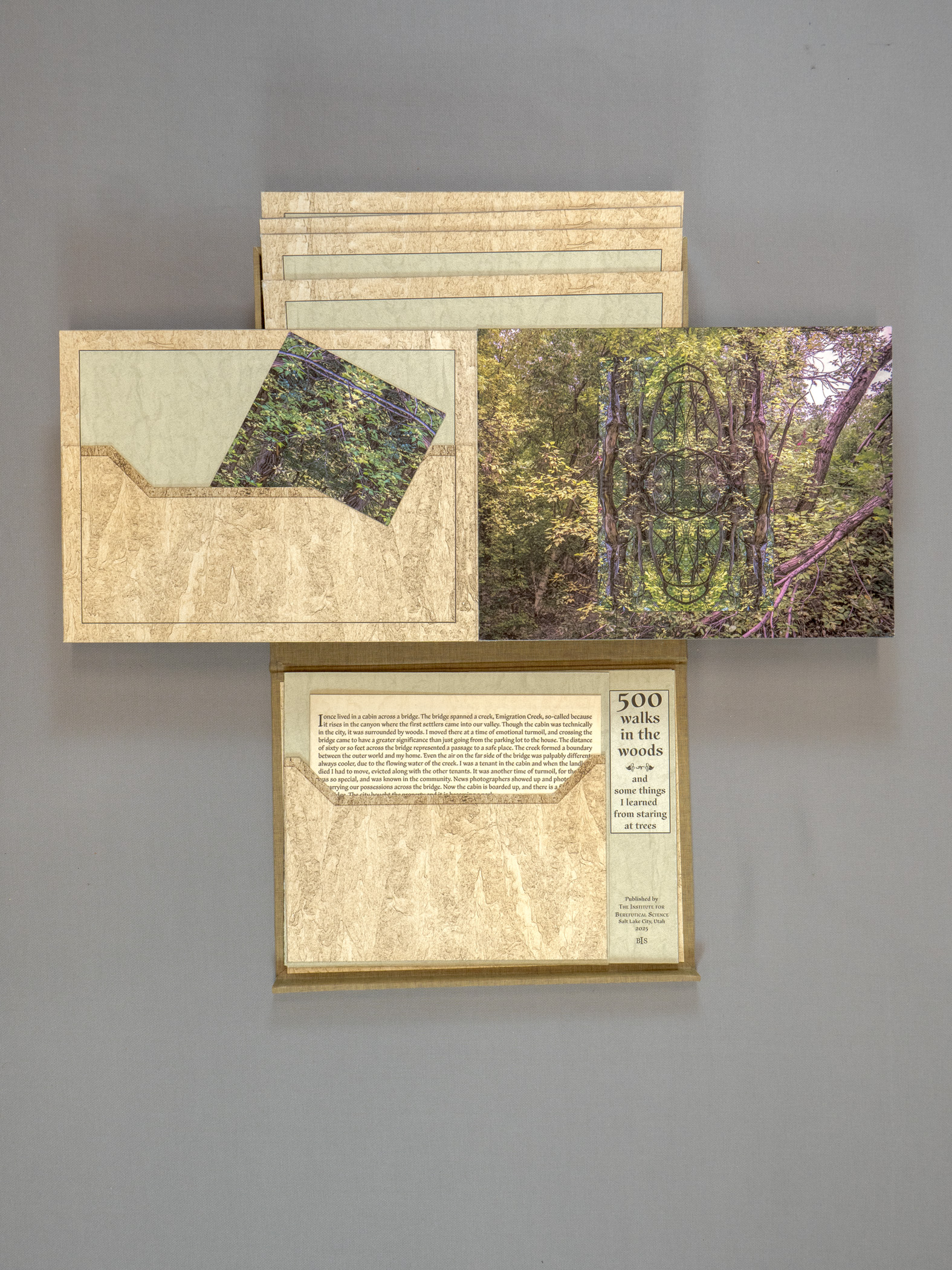 Jim Frazer Book Artist