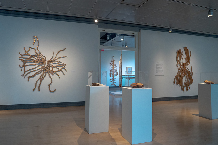 Jim Frazer Exhibition